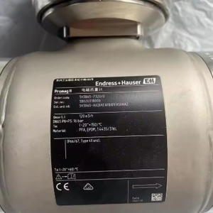 Endress+Hauser 5H1B Medidor de Flujo Promag H100, Medidor de Flujo Magnético Sanitario Promag H100, Medidor de Flujo Promag H100 5H1B Dedicado para Agua - Product Image 3