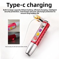 Lampes de poche LED en alliage d'aluminium USB Type-C de haute qualité avec 3 torches pour pierres précieuses et bijoux, étanches IP66, durée de vie de 50 000 heures