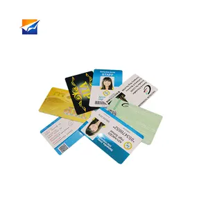 ZYJJ 맞춤형 디자인 오프셋 인쇄 플라스틱 배지 백 스테이지 패스 이벤트 직원 Pvc 카드