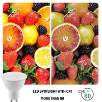 Wiederauf ladbare 5-W-LED-Notleuchte mit B22 Gu10-Scheinwerfern Batterie betriebene Schutzart IP65