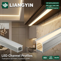 Perfil de Extrusión de Aluminio LIANGYIN 6061 con Tratamiento de Superficie Personalizado para Sistemas de Ventanas y Muros Cortina Arquitectónicos ISO9001