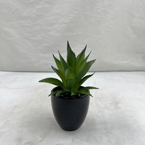 Adornos Decorativos para Jardín y Hogar, Árbol Artificial de Agave y <span class=keywords><strong>Maguey</strong></span>, Material PE, para Bodas y Uso en Interiores - Product Image 1