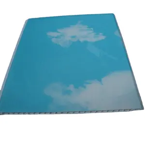 푸른 하늘 PVC 천장 패널과 최고 품질 pvc 벽 패널 그것은 너무 좋은 판매 pvc 천장 보드