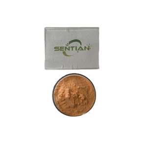 Fabricant fournisseur de poudre de jus de raisin de qualité alimentaire poudre de fruit de raisin biologique lyophilisée - Product Image 1