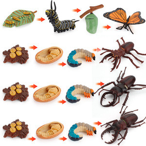 Simulazione del Ciclo di Crescita degli Animali in PVC, Giocattoli Educativi Montessori Fatti a Mano per Bambini: Pollo, Anatra, Oca, Farfalla, Tartaruga, Rana - Product Image 2