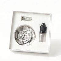 Diffuseur d'huiles essentielles décoratif en céramique pour grille d'aération de voiture, pierre aromatique en plâtre, désodorisant en porcelaine, vente en gros