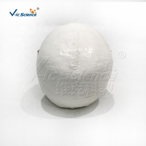 Modelo de anatomía <span class=keywords><strong>del</strong></span> <span class=keywords><strong>cráneo</strong></span> <span class=keywords><strong>humano</strong></span> de 3 partes, 22 <span class=keywords><strong>huesos</strong></span> <span class=keywords><strong>del</strong></span> <span class=keywords><strong>cráneo</strong></span> que demuestran la base <span class=keywords><strong>del</strong></span> <span class=keywords><strong>cráneo</strong></span> y las líneas de sutura - Product Image 4