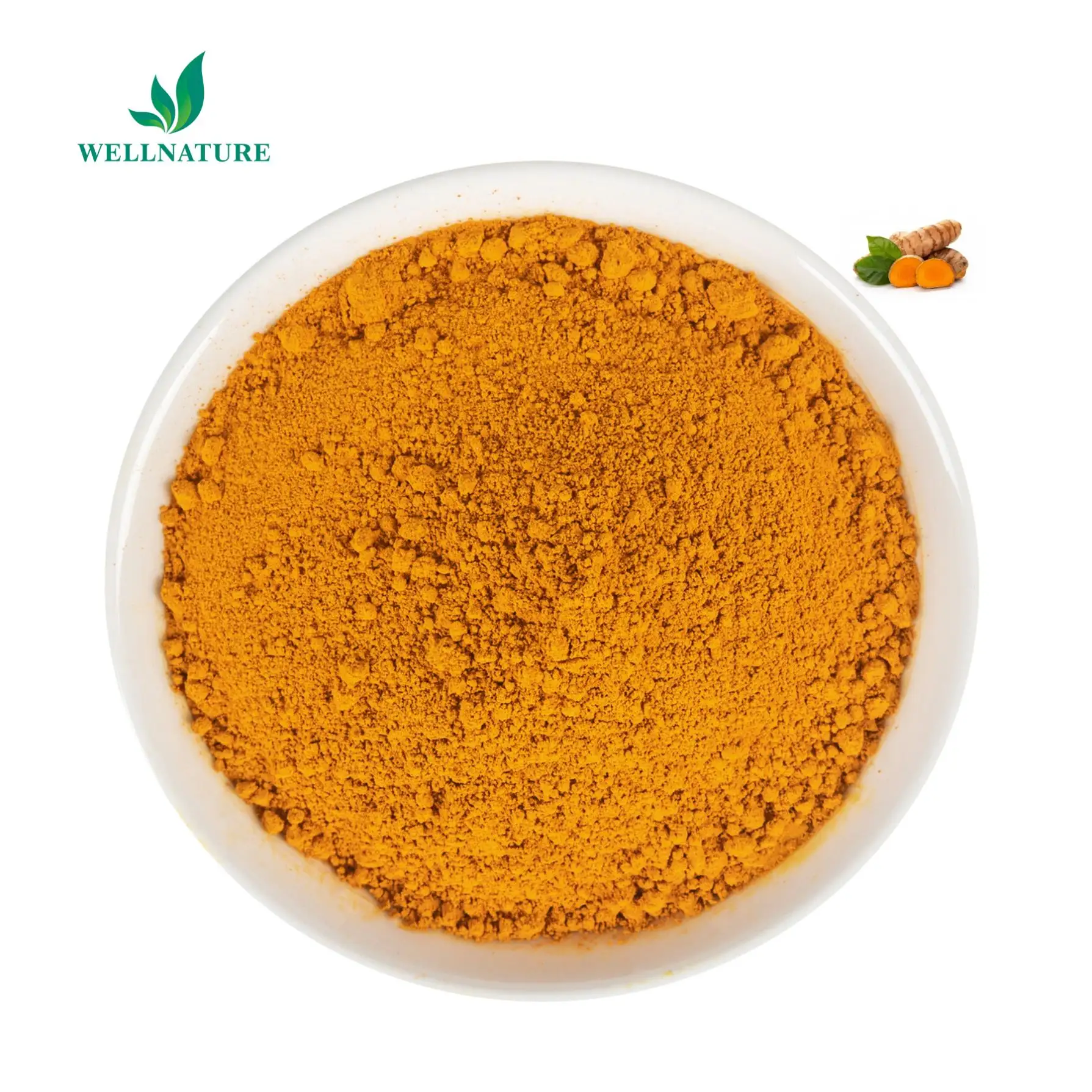 OEM 식품 학년 심황 추출물 순수 심황 유기농 20% Curcumin 심황 추출물