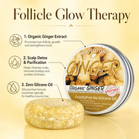 Barre de shampoing et revitalisant solide végétalienne au gingembre, bio et à base de plantes, antipelliculaire, lissante, nourrissante, régulatrice de sébum, rafraîchissante, pour adultes aux cheveux gras