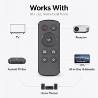 Remote Kontrol Suara IR BLE 13 Tombol untuk Pemutar Multimedia Home Theater RCT4013 Kontrol Satu ke Satu OEM ODM