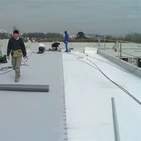 Membrane d'étanchéité de toiture TPO écologique sans chlore, haute résistance aux déchirures et aux perforations, pour la construction de sous-sols