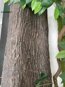 <span class=keywords><strong>Arbre</strong></span> artificiel écorce caoutchouc plante couverture plante <span class=keywords><strong>mur</strong></span> verdure tuyauterie évier égout pour hôtel maison étagère <span class=keywords><strong>mur</strong></span> ferme décoration - Product Image 5