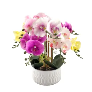 Commercio all'ingrosso Dendrobium Cattleya Orchid Plants Silk conservato White Phalaenopsis Orchid Pot orchidea artificiale nel vaso