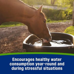 Complément alimentaire en poudre d'électrolytes Apple Elite personnalisé pour chevaux, remplace les minéraux essentiels, encourage l'hydratation, sans sucre ajouté - Product Image 2