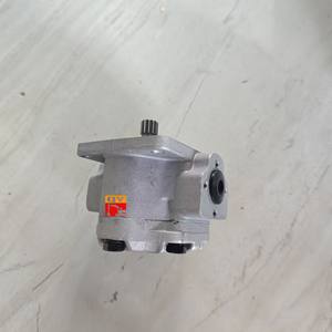 מבצעים ייצור מפעל מחפר חלקי טייס משאבת זול GP1-C-5AX זול באיכות גבוהה משאבת ציוד - Product Image 4