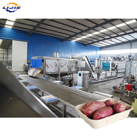 Chaîne de production automatique de chips : Chips de patate douce cuites, déshydratation avancée, assaisonnement précis et emballage robuste