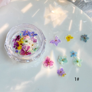 TSZS Mini vraies fleurs naturelles 3D décoration des ongles coloré bricolage <span class=keywords><strong>bleu</strong></span> violet fleurs séchées ongles breloques ongles en gros - Product Image 6