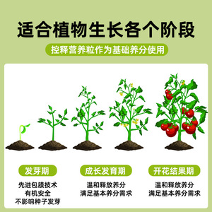 ปุ๋ยซีพาย ซักคูลเลนท์ สโลว์รีลีส 200 กรัม อาหารพืชแบบเม็ดสำหรับใบหนาและเพิ่มสีสัน - Product Image 5