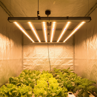 Lámpara de Cultivo Samsung SLTMAKS de 720W, Sistema de Cultivo Hidropónico para Invernadero Interior, Luces LED de Espectro Completo