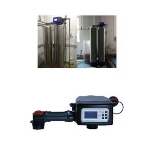 Water Treatment Automatic Time Flow Control Duplex Softener Multiport Valve