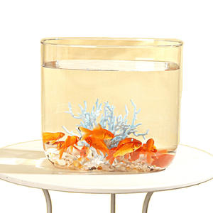 ตัวกรองภายในตู้ปลาสี่เหลี่ยมขนาด15ซม. 3วัตต์แบบ all-in-one พร้อมปั๊มสำหรับกุ้งปลาหรือถังนาโนที่ทำจากแก้วและพลาสติก - Product Image 1