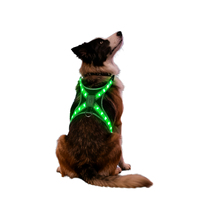 Gilet de loisirs pour chien en polyester rayé, écologique, avec 9 couleurs LED et 12 modes d'éclairage, pour les promenades nocturnes