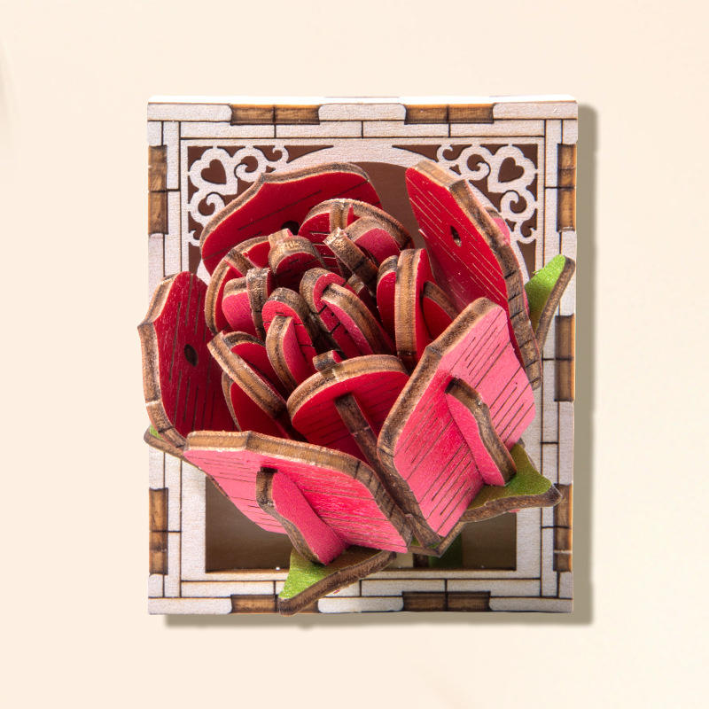 Fleurs et plantes d
