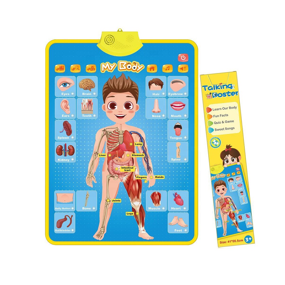 Hete Verkoop Onderwijs Praten Muur Kaart Speelgoed Mijn Lichaam Praten Poster Leren Menselijk Lichaam Kaart Speelgoed Interactieve Muur Kalender