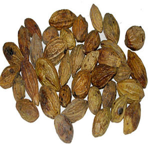 Terminalia Chebula Extracto en polvo de alta calidad Natural Terminalia Chebula Extracto de etiqueta privada disponible - Product Image 2