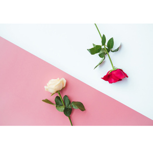 60*130cm coloré Pvc toile de fond photographique conseil pour Studio photographie produit Photo fond étanche à la poussière Pad - Product Image 2