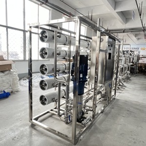 Cá voi thương hiệu 10 TPH thẩm thấu ngược hệ thống lọc nước với tàu áp lực PLC hộp số bơm 220V 1 năm bảo hành - Product Image 2