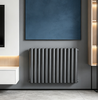 Radiateur personnalisé ovale double en acier, mural, moderne, solution de chauffage économe en énergie pour la maison, l'hôpital et l'école