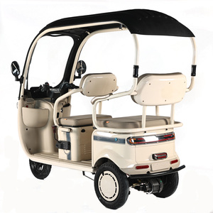 Triciclo Elettrico <span class=keywords><strong>Cargo</strong></span> 800W per Uso Familiare, <span class=keywords><strong>Bici</strong></span> <span class=keywords><strong>Elettrica</strong></span> a 3 Ruote con Tetto, Novità 2024 - Product Image 3