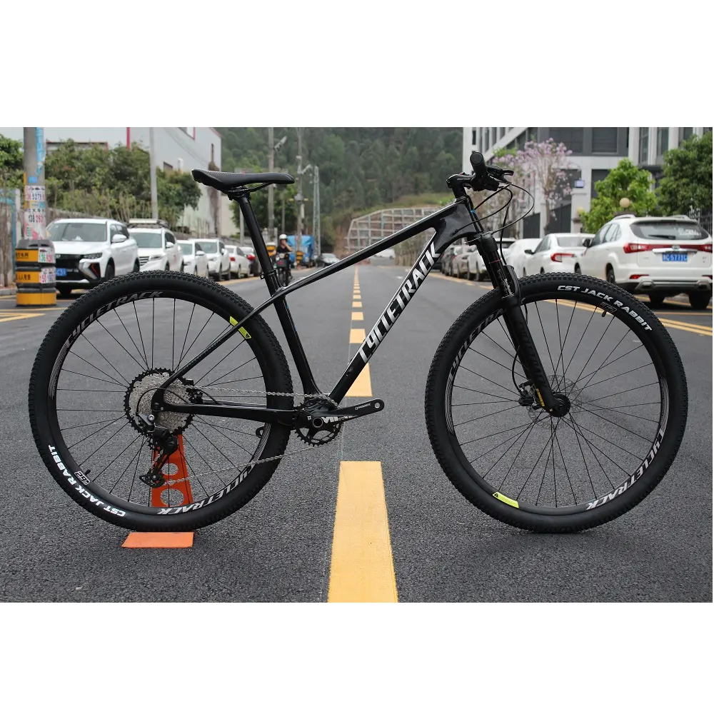 Cycletrack CK-COZY fabrika doğrudan satmak özel MTB karbon fiber bisiklet 29 inç dağ bisikleti bisiklet