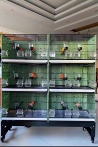 202 vendita calda di alta qualità impilabile da riproduzione uccelli gabbia per uccelli grande gabbia in metallo gabbia per uccelli - Product Image 5
