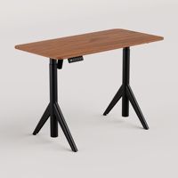 Cadre de bureau réglable en hauteur, moderne et luxueux, ergonomique, avec moteur, pour ordinateur, bureau, usage domestique, en fer, 80 kg