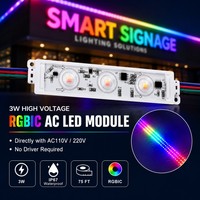 Modul LED Tahan Air 3W Tegangan Tinggi AC 110V 220V Tanpa Perlu Driver untuk Penerangan Rambu LED dan Penerangan Huruf Rambu