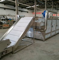 Automatische 10 ton per dag op maat gemaakte continue transportband droogmachine voor fruit en groenten