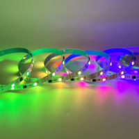 DC12V 24V ICWS2811 Pixel direccionable Rgb 5050 Tira de luces LED 30 LEDS/M IP20 IP65 IP67 IP68 Tira de luces LED