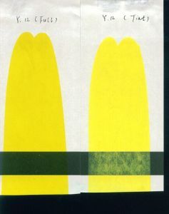 Hữu cơ sắc tố màu vàng <span class=keywords><strong>12</strong></span> benzidine vàng G cho nước-cơ sở Mực in Offset mực in và nhựa - Product Image 3