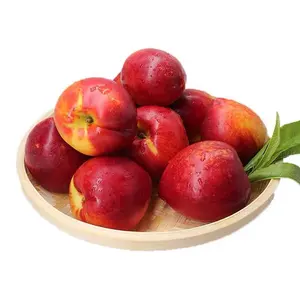 Prix fabricant pêche nectarine fraîche