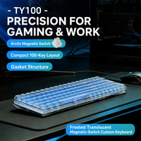 Clavier mécanique à touches entièrement remplaçables, disposition anglaise, clavier de jeu personnalisé OEM, 100 touches, clavier filaire pour PC portable