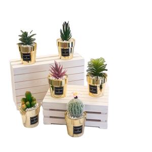 Mini Simulation Plantes Succulentes Table En Pot Décoratif Plantes De <span class=keywords><strong>Cactus</strong></span> Artificielles VP-HL004 - Product Image 1