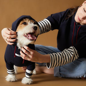 Camiseta a rayas de otoño para perros medianos y grandes, ropa sostenible acogedora, <span class=keywords><strong>Golden</strong></span> <span class=keywords><strong>Retriever</strong></span>, Labrador, mascotas de tamaño pequeño, verano e invierno - Product Image 6