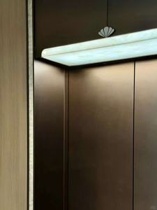 Ascensor Comercial para 14 Personas, Máquina de Tracción, Ascensor de Pasajeros de 1000 kg - Product Image 6