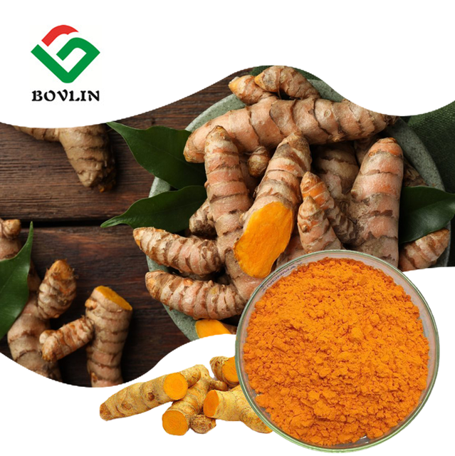 Factory Direct Supply Water Soluble Turmeric Curcumin Powder 10% Curcumin Extract Powder