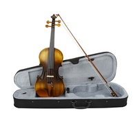Violon Électro-Acoustique Mat Astonvilla AV-E310 4/4 Professionnel avec Égaliseur, Accessoires en Bois de Jujube et Étui – Prix de Gros