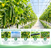 Serre Agricole Complète pour Jardinage Domestique et Pépinière de Légumes