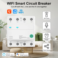 Kedatangan Baru WIFI 63A Smart Circuit Breaker 3*120V/3*220V Untuk Hotel Bahan PC Pengatur Waktu Hitung Mundur Kontrol Suara Kontrol Aplikasi