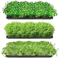 10 ''x 20'' plastik bitki tepsileri deliksiz buğday çimi filiz tepsisi microgreens tohum tepsisi kreş daireler